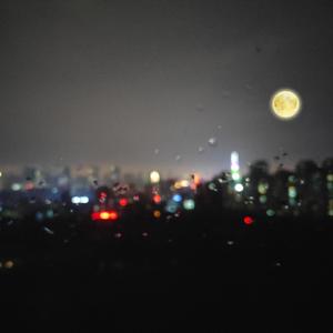 欧美黑人一级爽快片婬片高清
