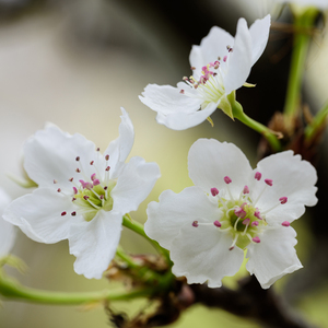 欧美黑人一级爽快片婬片高清
